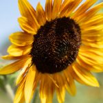 777333最新开奖结果今日公布,速看中奖号码 nk57kok