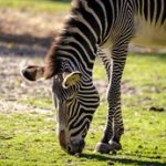 777全讯开奖最新结果与中奖号码权威发布 qv10hw5n