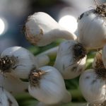 澳门金沙娱乐的历史与发展:从创立到如今的辉煌 s90t62